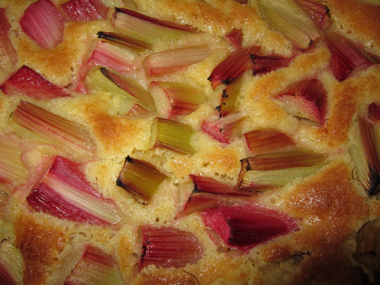 mary berry rhubarb scones